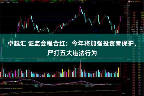 卓越汇 证监会程合红：今年将加强投资者保护，严打五大违法行为